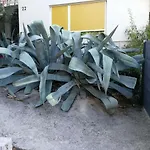 Anita *